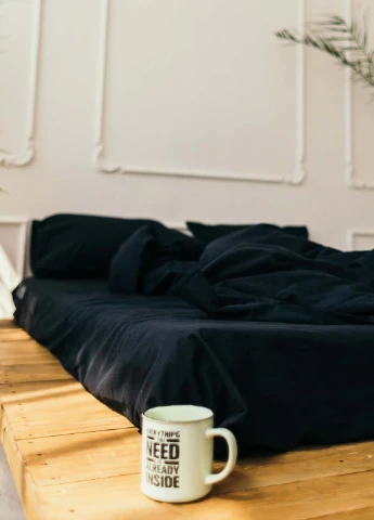 Комплект білизни із вареної бавовни Black (200х200) Leglo (253876238)
