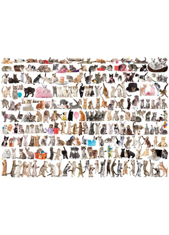 Пазл Світ котів, 1000 елементів (6000-0580) Eurographics (249984295)
