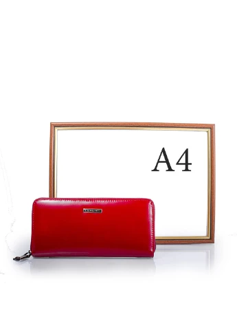 Женский кожаный кошелек 19,5х9,5х2,5 см Lorenti (195538601)