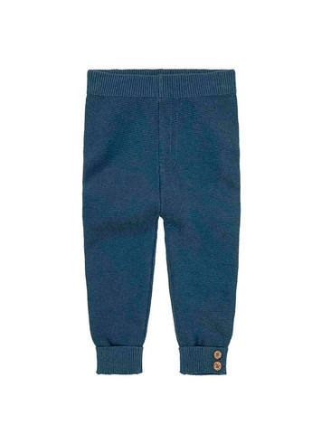 Синие кэжуал демисезонные брюки джоггеры Lupilu
