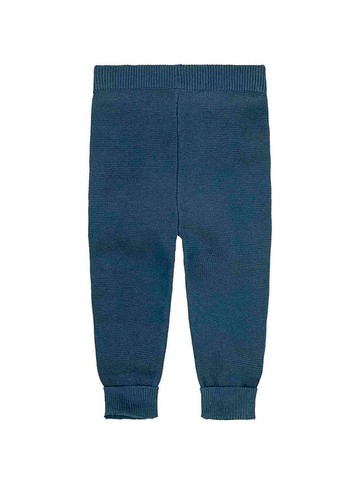 Синие кэжуал демисезонные брюки джоггеры Lupilu