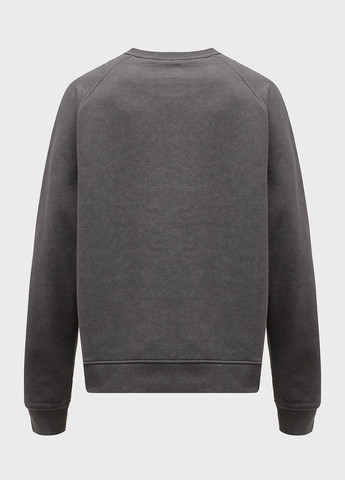 Сірий світшот PRPY однотонний без декору (306759001)