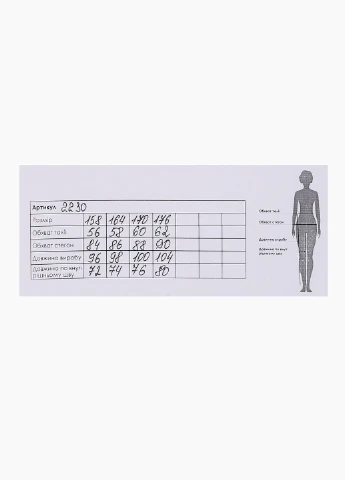 Графитовые спортивные демисезонные брюки Atescan