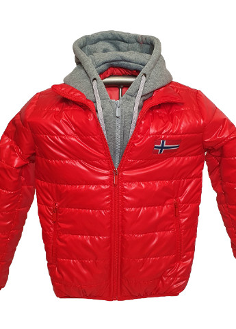 Красная демисезонная куртка No Brand Леон