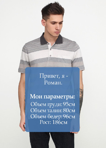 Серая футболка-поло для мужчин Belika в полоску