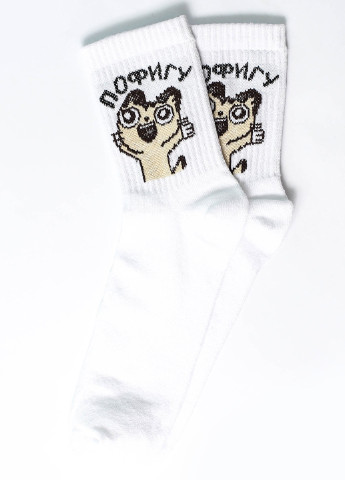 Шкарпетки Кот. пофігу Rock'n'socks білі повсякденні