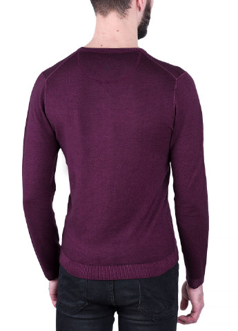 Фіолетовий демісезонний пуловер пуловер COLOURS & SONS