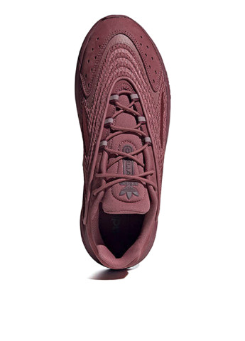 Бордовые всесезонные кроссовки adidas