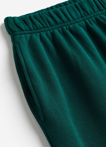 Штани H&M (315342915)