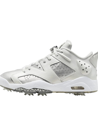 Сріблясті всесезонні кросівки Nike