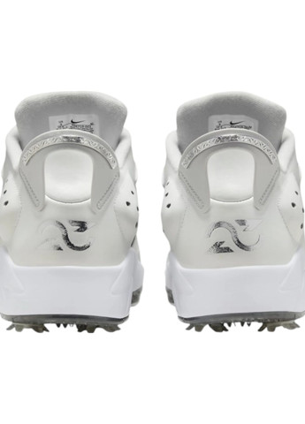 Сріблясті всесезонні кросівки Nike