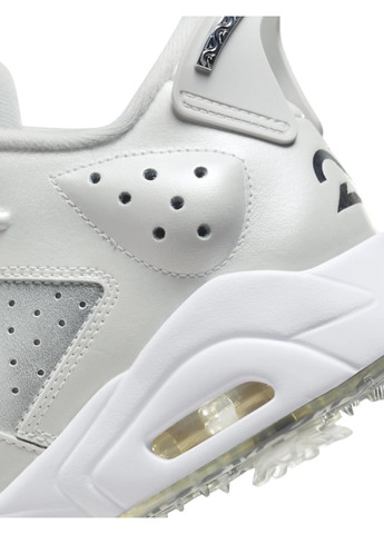 Сріблясті всесезонні кросівки Nike