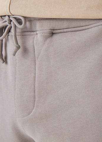 Серые спортивные демисезонные джоггеры брюки UNITED4