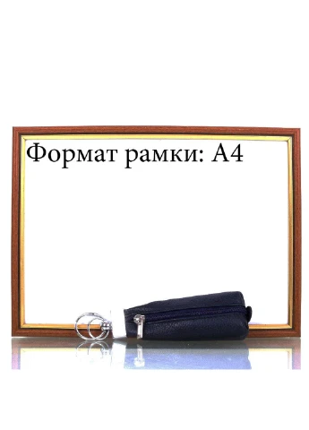 Чоловіча шкіряна ключниця 5х13х2,5 см Desisan (212708384)