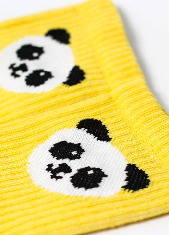 Шкарпетки Панда жовтий Rock'n'socks жовті повсякденні
