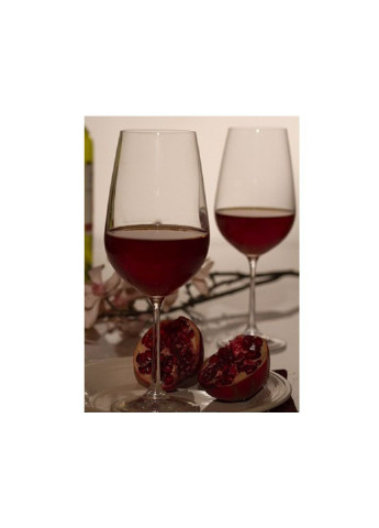 Набір келихів для вина Viola 6 шт по 250 мл b40729-164199 Bohemia (253583536)