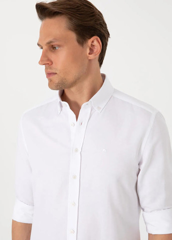 Сорочка Pierre Cardin (340648124)