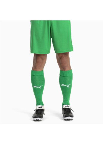 Шкарпетки Football Men’s LIGA Core Socks Puma однотонні зелені спортивні