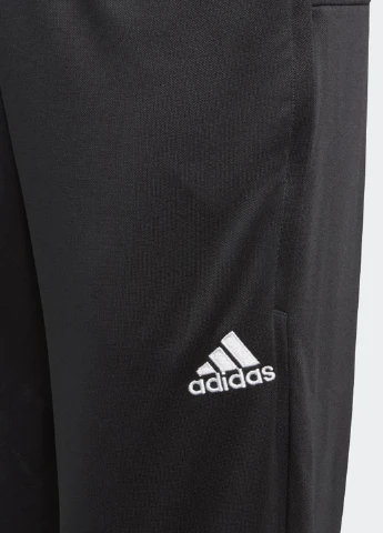 Штани CZ8659 adidas REGISTA 18 (318417491)