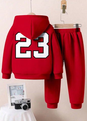 Комбинированный демисезонный костюм (худи, штаны) 2 шт. брючный SHEIN