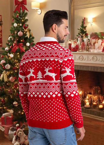 Червоний демісезонний джемпер джемпер SHEIN