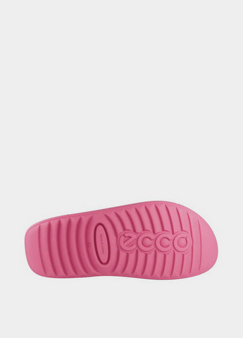 Шльопанці Ecco (365688672)
