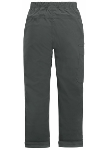 Штани Jack Wolfskin DESERT PANTS K (292936268)