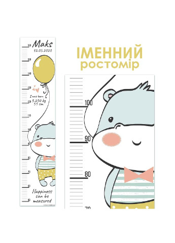 Ростомер именной Hippo boy 1068 HeyBaby (254342033)