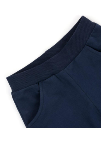 Синий демисезонный костюм десткий "r4g" (9325-134b-blue) Breeze