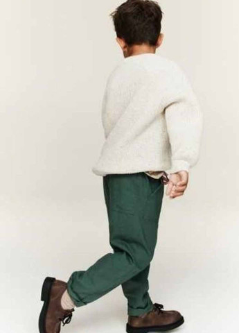 Темно-зеленые кэжуал демисезонные брюки прямые H&M