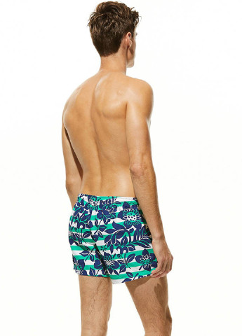 Красиві чоловічі шорти для плавання Seobean (195144223)