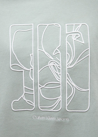 Серо-зеленый свитшот Calvin Klein Jeans рисунок без декора (366302295)