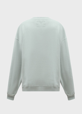 Серо-зеленый свитшот Calvin Klein Jeans рисунок без декора (366302295)