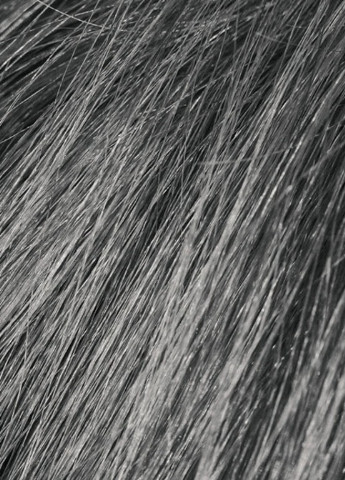 Шампунь камуфлюючий 9G (сірий) для голови / бороди / вусів (фарба 30 мл + актив 45 мл) Beardburys (243765943)