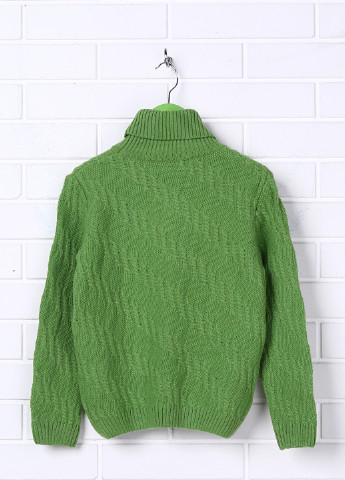 Зеленый демисезонный свитер хомут Flash