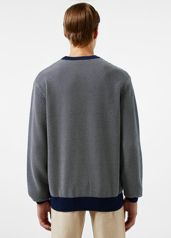 Темно-синій демісезонний джемпер джемпер Lacoste