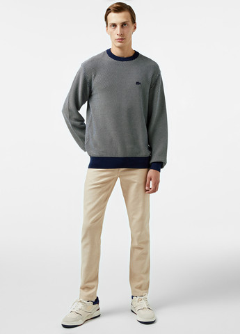 Темно-синій демісезонний джемпер джемпер Lacoste