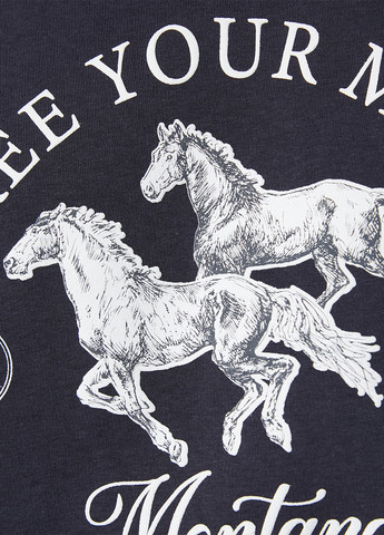 Темно-сірий світшот KOTON кінь без декору (263704332)