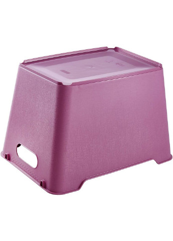 Ящик для зберігання Lotta 20 л рожевий (КЕЕ-913.1) Keeeper (217310048)