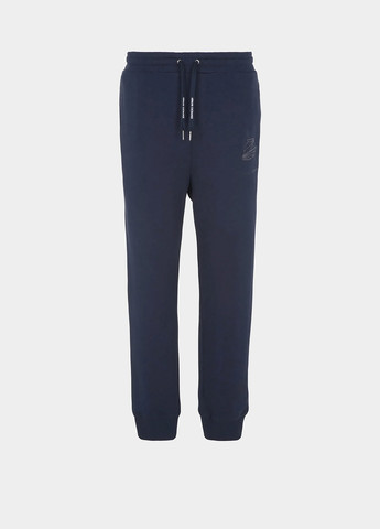 Синие спортивные демисезонные джоггеры брюки Armani Exchange