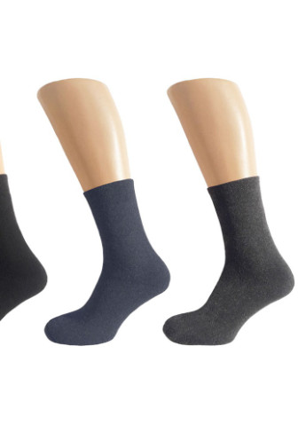 Набор теплых мужских носков 6пар, длинные, 3 цвета 39-42 Rix (229058794)