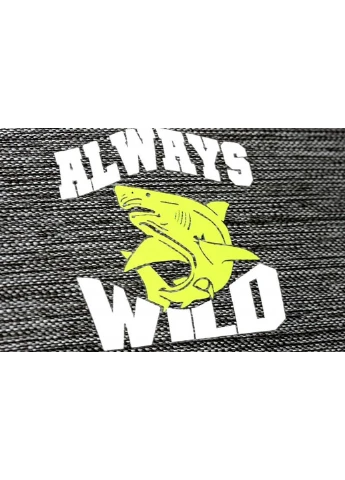 Чоловіча сумка 38х30х18 см Always Wild (233420213)