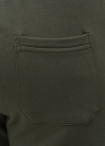 Хаки спортивные демисезонные джоггеры брюки Trend Collection