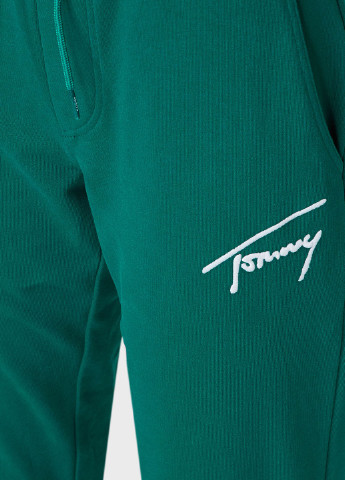 Изумрудные спортивные демисезонные джоггеры брюки Tommy Jeans