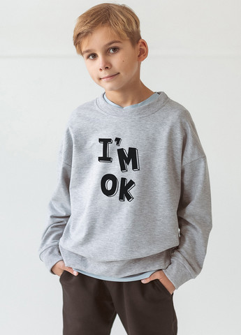 Світло-сірий світшот Garnamama напис без декору (266155325)