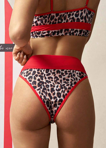 Купальні трусики SHEIN (367194881)