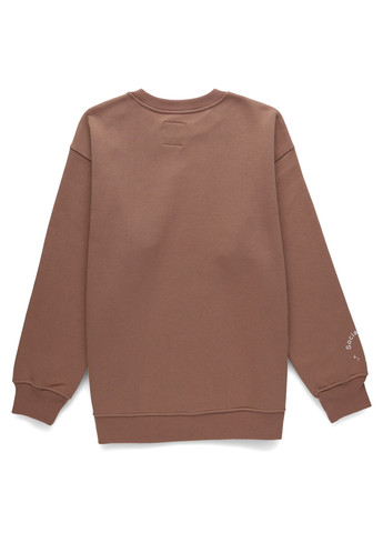 Темно-бежевий світшот Hollister напис без декору (340310826)