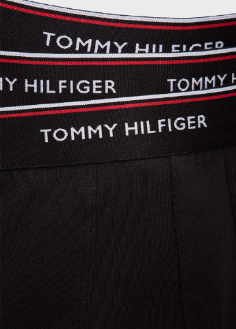 Труси (3 шт.) Tommy Hilfiger (183874599)
