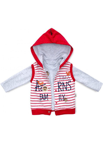 Світло-сірий демісезонний набір дитячого одягу із жилетом (2824-80b-red) Tongs