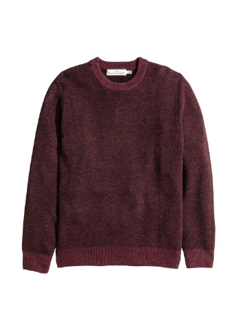 Темно-бордовий демісезонний джемпер джемпер H&M
